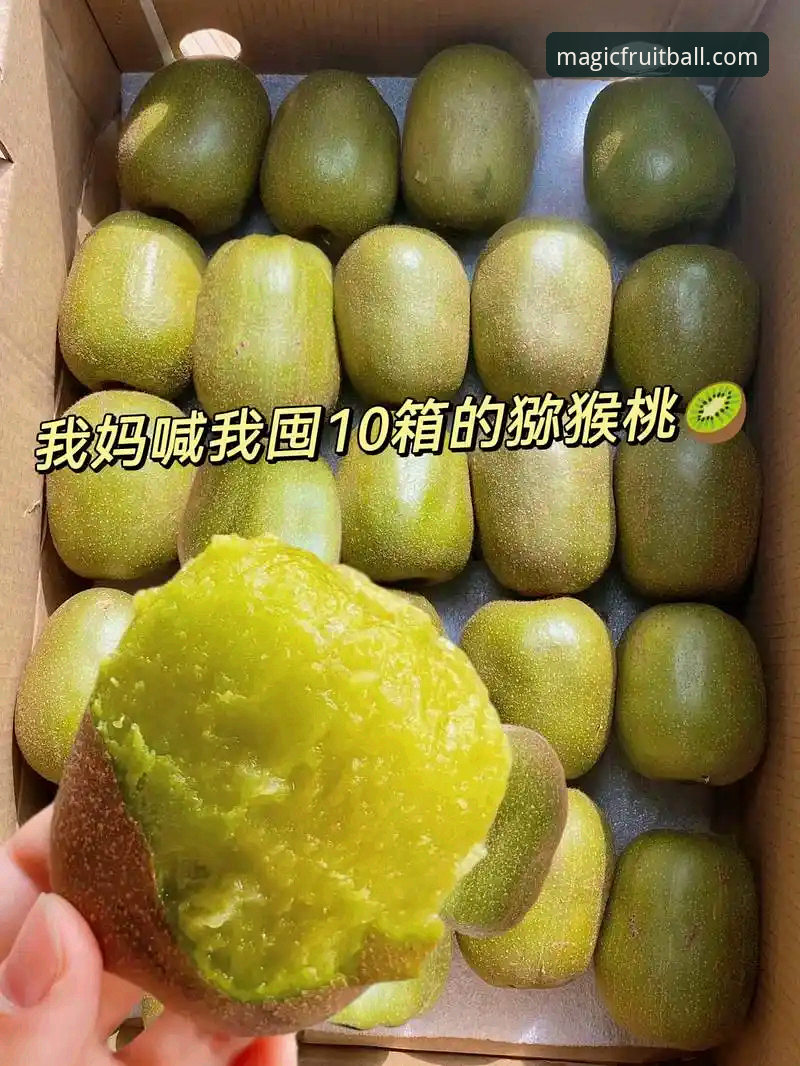 3大关键点帮你判断奇异果体育注册哪个好